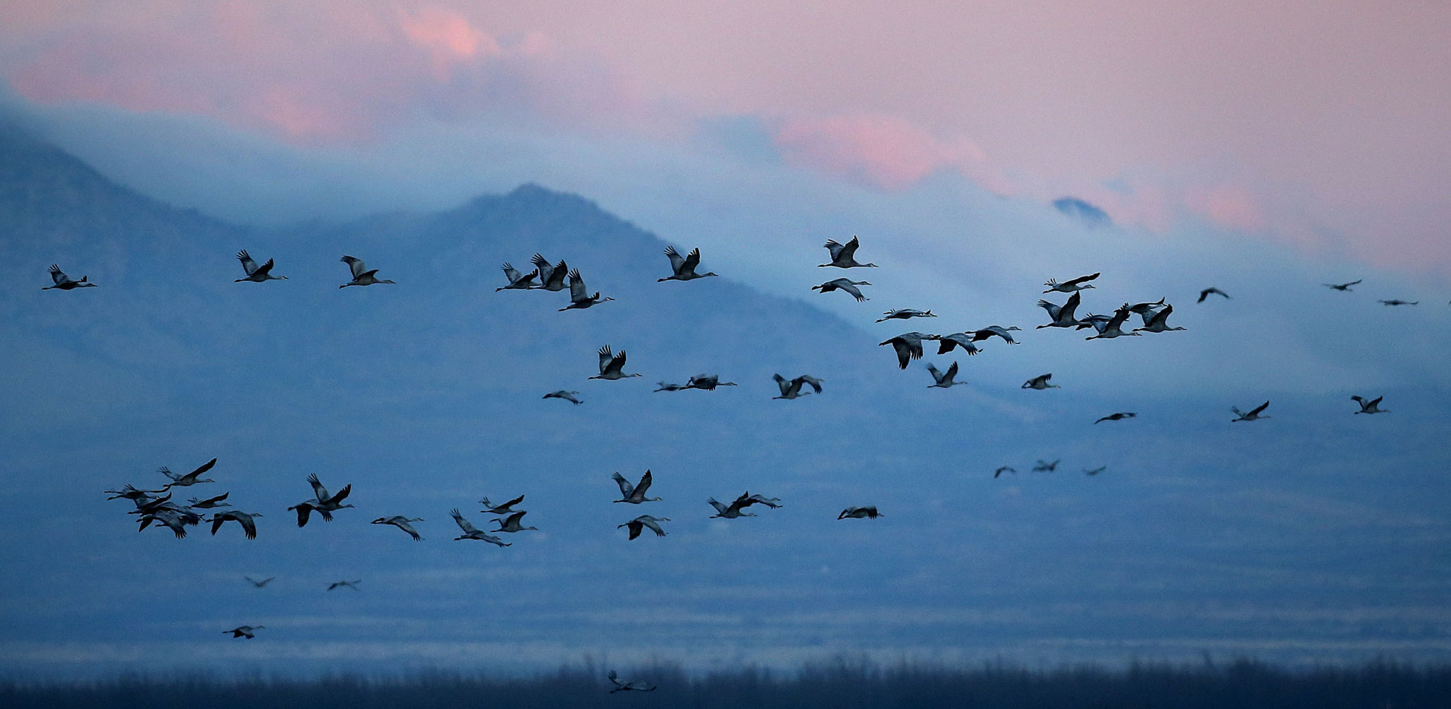 2018 Wings over Willcox